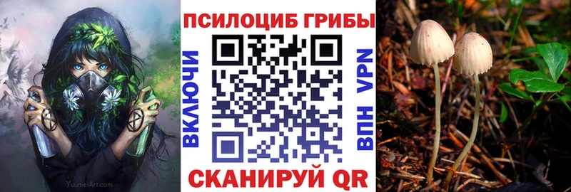 купить   Радужный  Псилоцибиновые грибы Psilocybine cubensis 