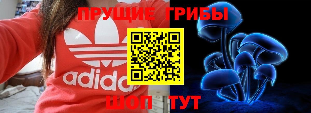 Псилоцибиновые грибы прущие грибы  Вход с VPN  Радужный  Псилоцибиновые грибы Magic Shrooms 